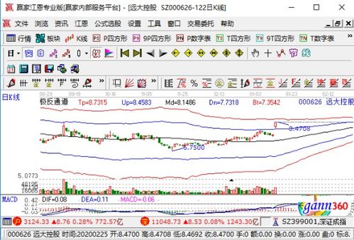 遠達控股強勢漲停，業(yè)績大幅預增與國內貿易代理業(yè)務成關鍵驅動力